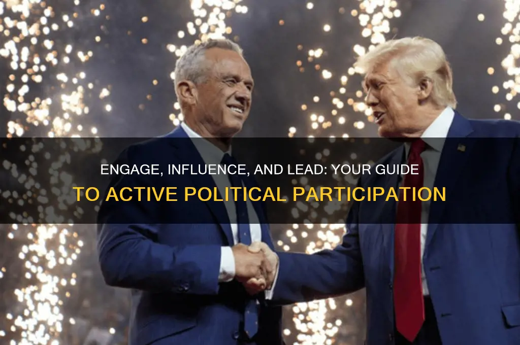 how to involve in politics