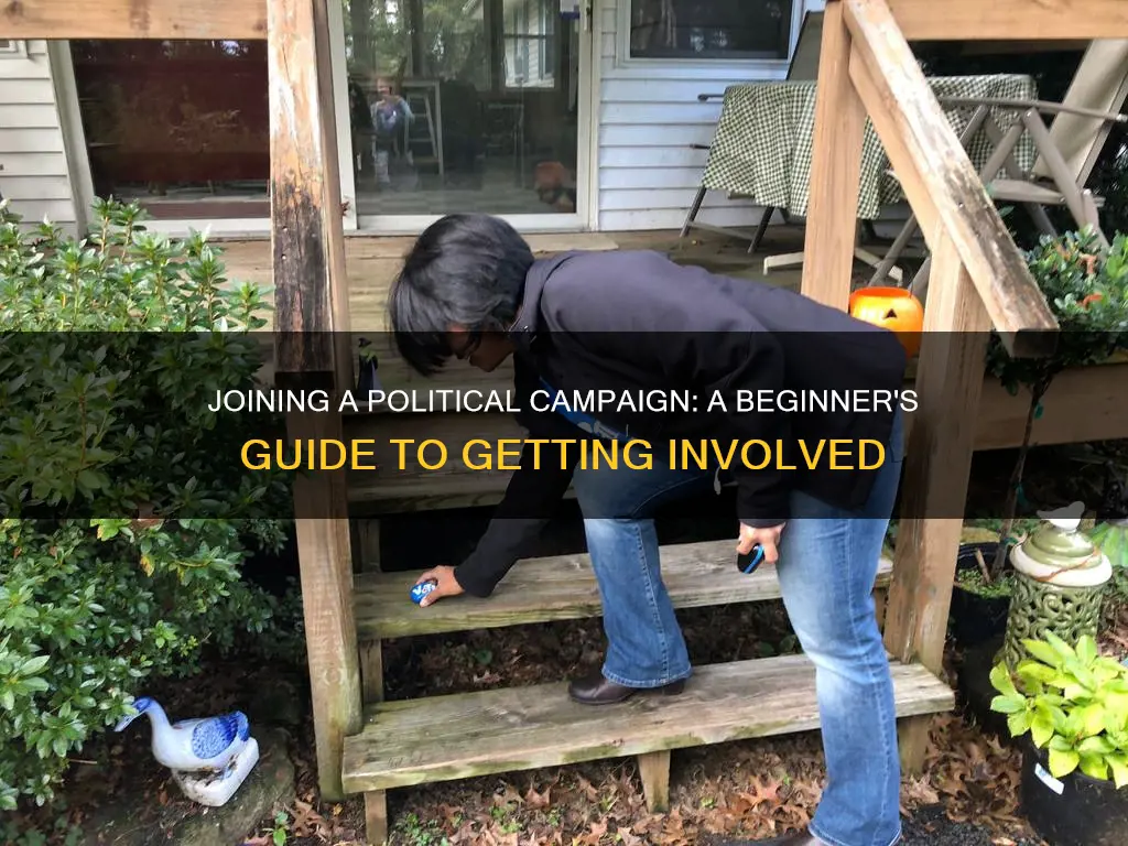how to join a political campaign no experience