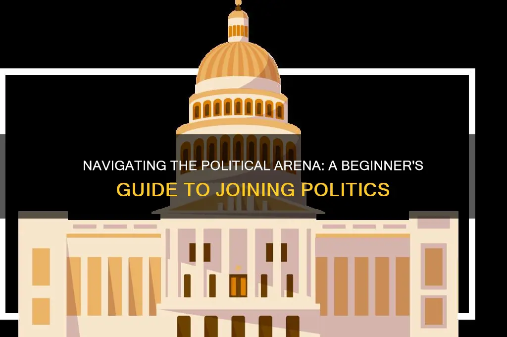 how to join in politics