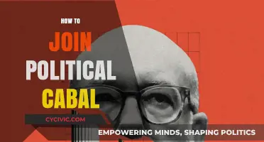 Mastering the Art of Political Influence: How to Join a Cabal