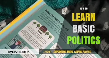 Mastering the Basics: A Beginner's Guide to Understanding Politics