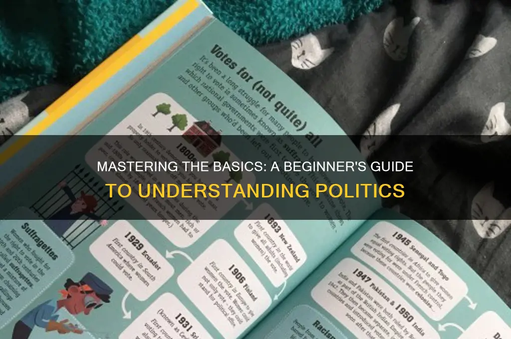 how to learn basic politics