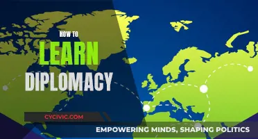 Mastering the Art of Diplomacy: A Practical Guide