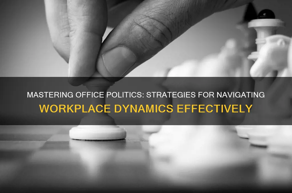 how to learn office politics
