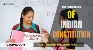 Strategies for Learning the Indian Constitution Efficiently
