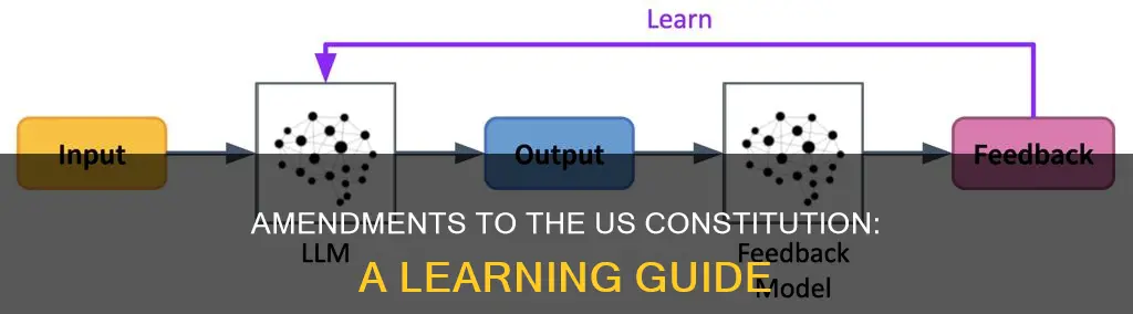 how to learn the amendments to us constitution