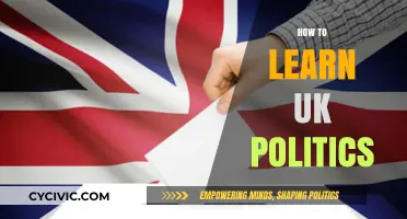 Mastering UK Politics: A Beginner's Guide to Understanding the System