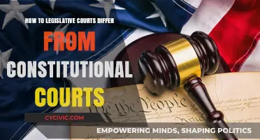 Legislative vs Constitutional Courts: What's the Difference?