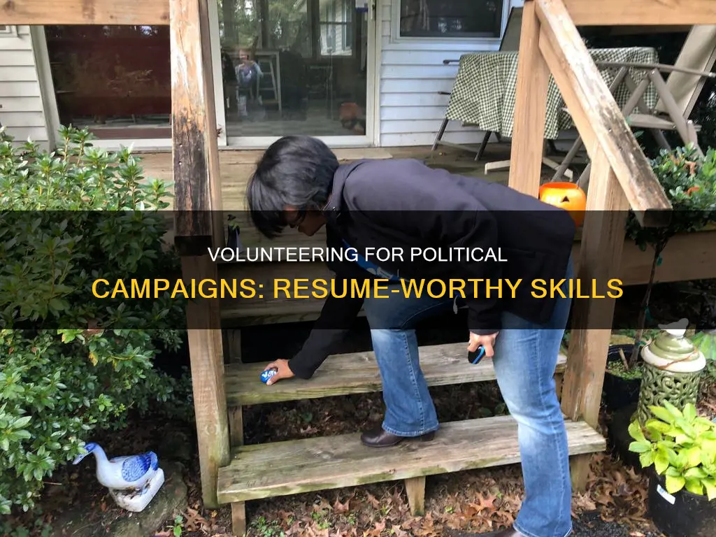 how to leverage volunteering for a political campaign on resume