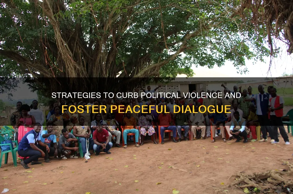 how to limit political violence