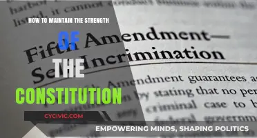 Protecting Constitutional Strength: A Guide to Maintenance
