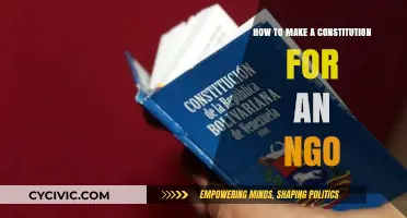 Crafting an NGO Constitution: A Step-by-Step Guide