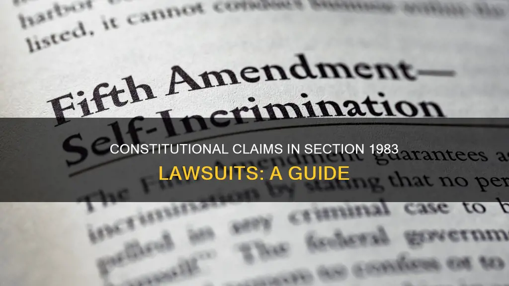 how to make a constitutional claim in a 1983 lawsuit