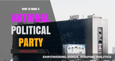Building a National Political Party: Strategies, Steps, and Success Secrets