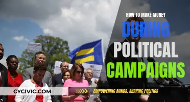 Profiting from Political Campaigns: Strategies for Success