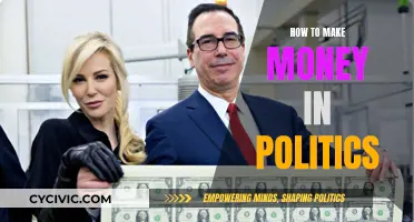 Making Money in Politics: Strategies for Success