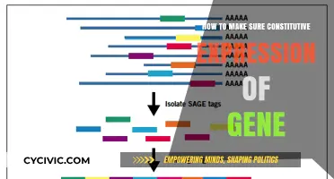 Strategies to Ensure Constitutive Gene Expression