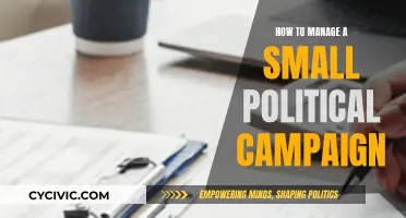 Managing a Small Political Campaign: Strategies for Success
