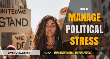 Navigating Political Tensions: Strategies to Manage Stress and Stay Balanced