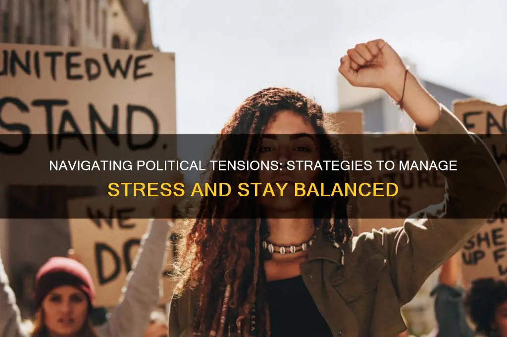 how to manage political stress