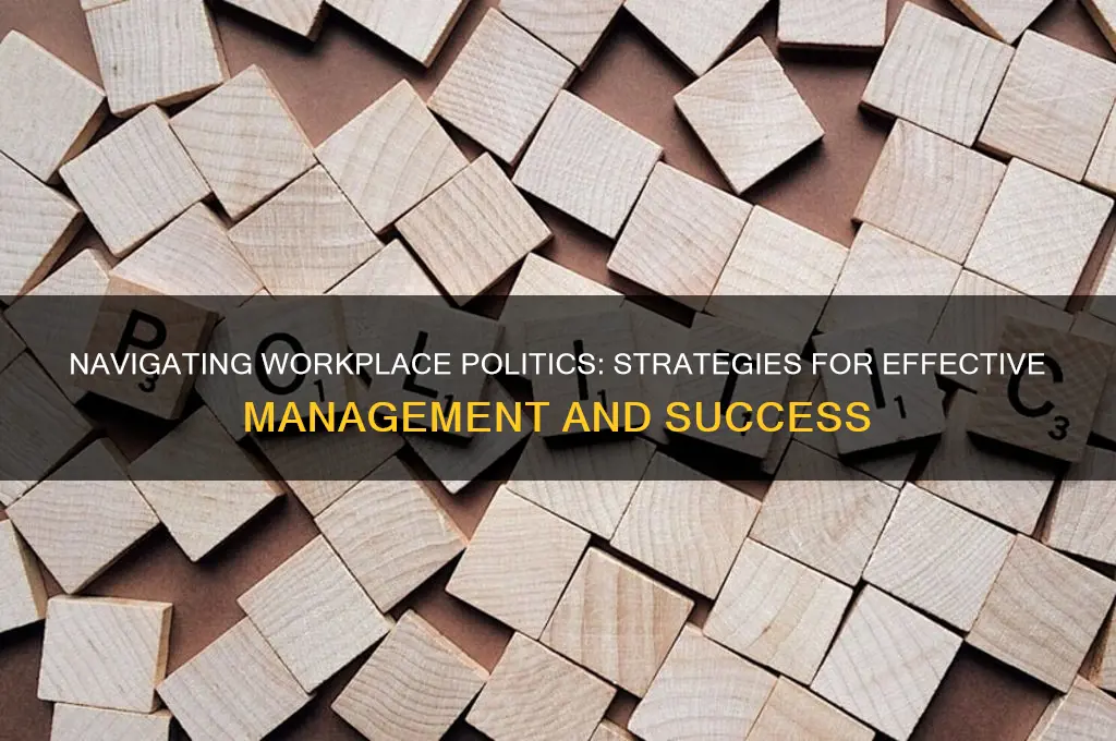 how to manage politics