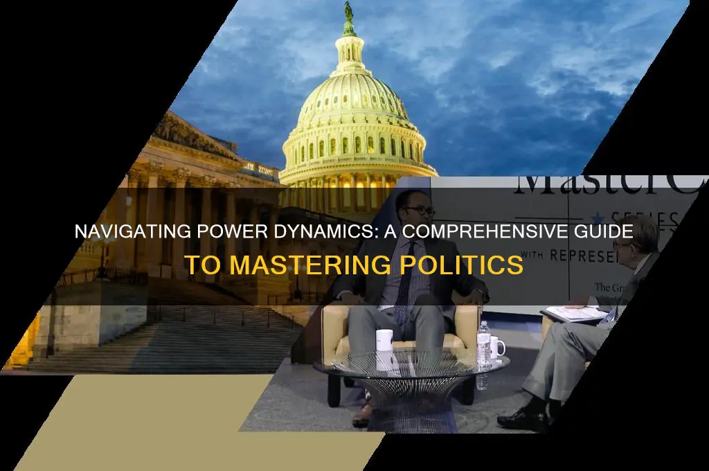 how to master politics