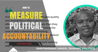 Measuring Political Accountability: Tools, Challenges, and Effective Strategies