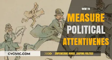 Measuring Political Attentiveness: Strategies for Assessing Civic Engagement