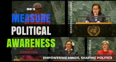 Measuring Political Awareness: Effective Strategies for Assessing Civic Engagement