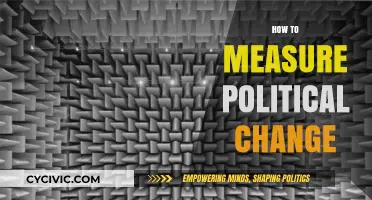 Gauging the Pulse of Progress: Methods to Measure Political Change