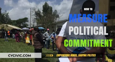 Measuring Political Commitment: Strategies for Assessing Dedication and Action