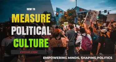 Understanding Political Culture: Methods and Metrics for Accurate Measurement