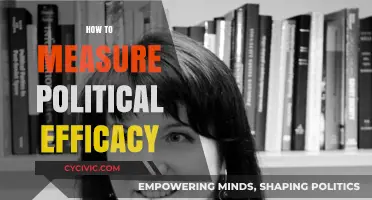 Measuring Political Efficacy: Tools and Strategies for Civic Engagement