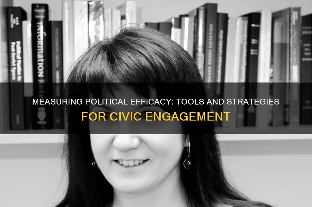 how to measure political efficacy