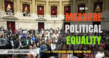 Measuring Political Equality: Tools, Challenges, and Pathways to Fair Representation