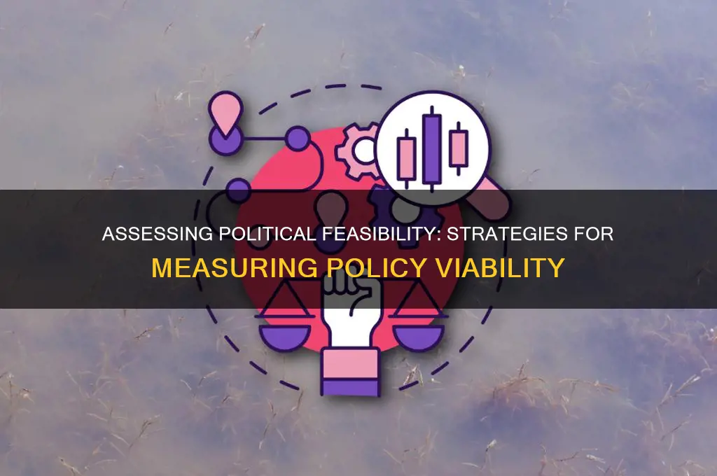 how to measure political feasability