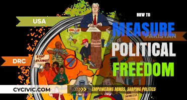 Measuring Political Freedom: Tools, Metrics, and Global Perspectives