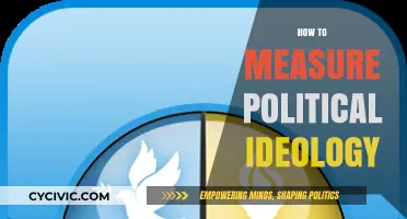Understanding Political Beliefs: Methods to Measure and Analyze Ideology