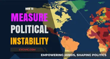 Assessing Political Instability: Methods and Metrics for Measurement