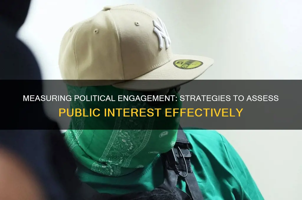 how to measure political interest