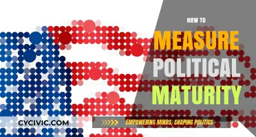 Assessing Political Maturity: Key Indicators and Measurement Strategies