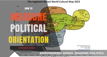 Understanding Political Leanings: Methods to Measure Political Orientation Accurately
