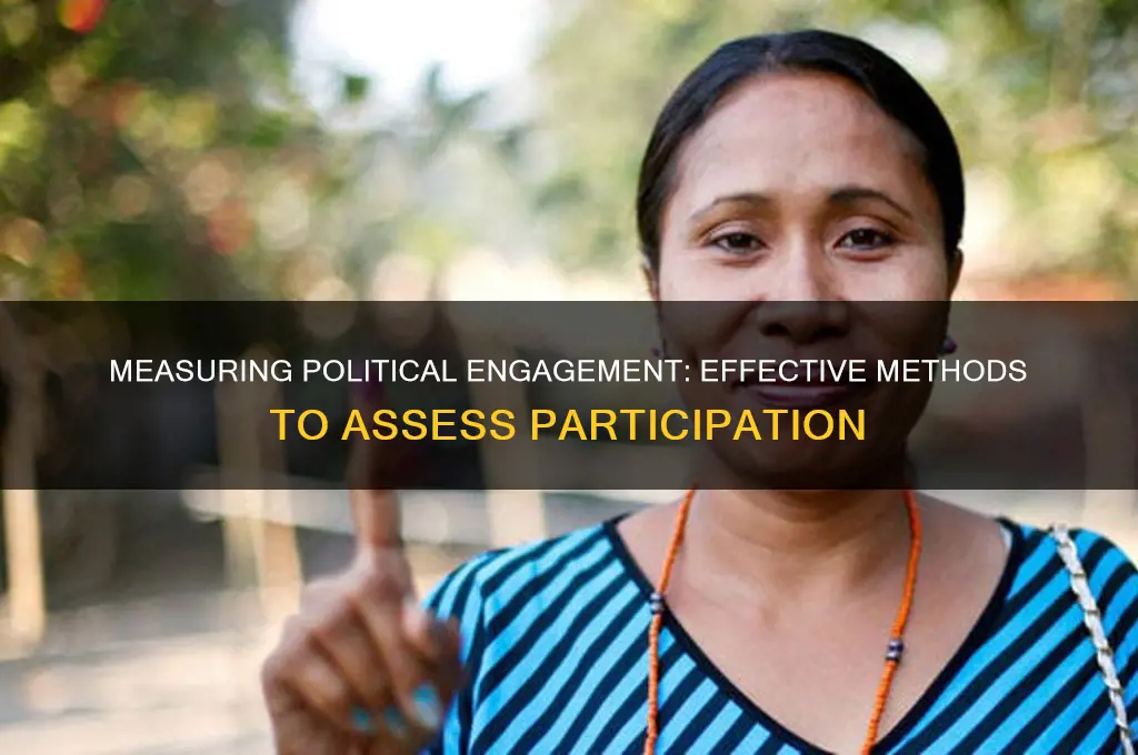 how to measure political participation