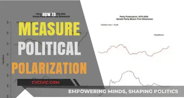 Measuring Political Polarization: Strategies for Assessing Divides in Society