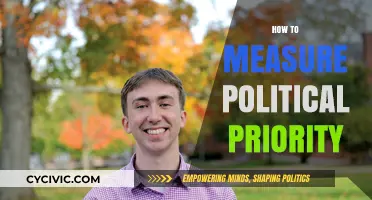 Measuring Political Priority: Strategies for Assessing Policy Importance