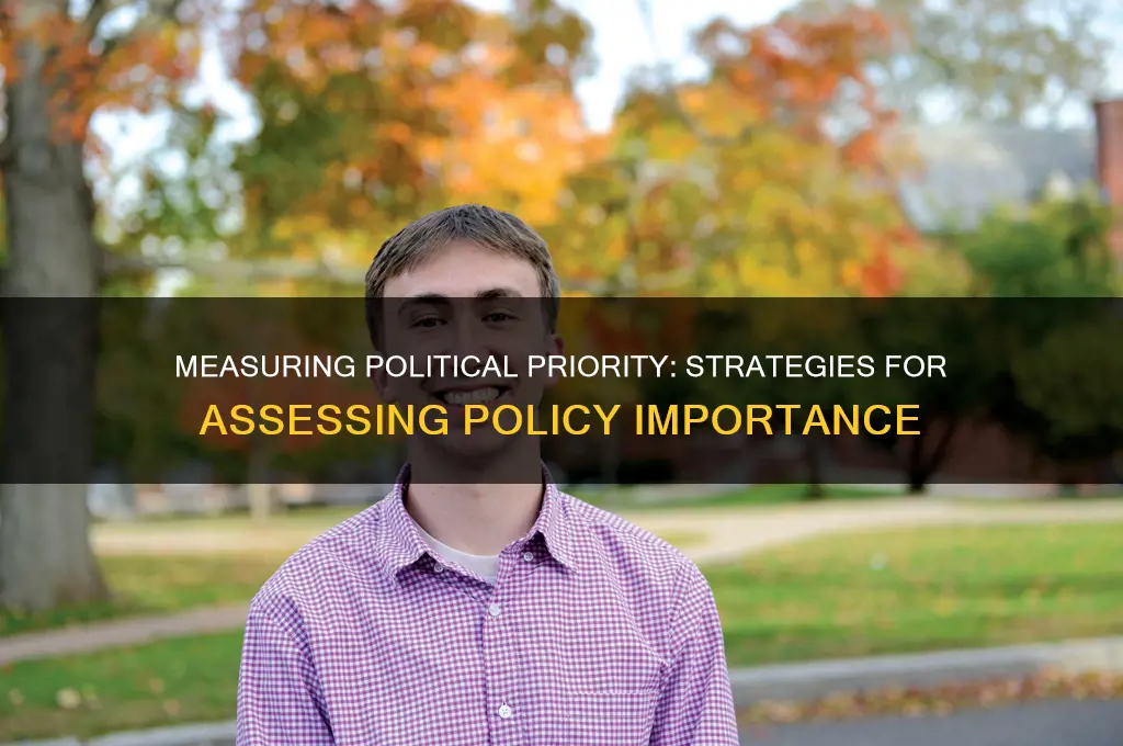 how to measure political priority
