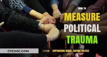 Measuring Political Trauma: Methods, Challenges, and Implications for Healing