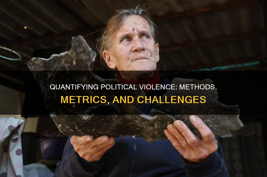 how to measure political violence