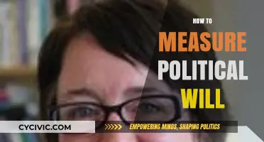 Assessing Political Commitment: Strategies to Measure and Evaluate Willpower