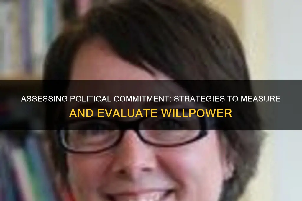 how to measure political will